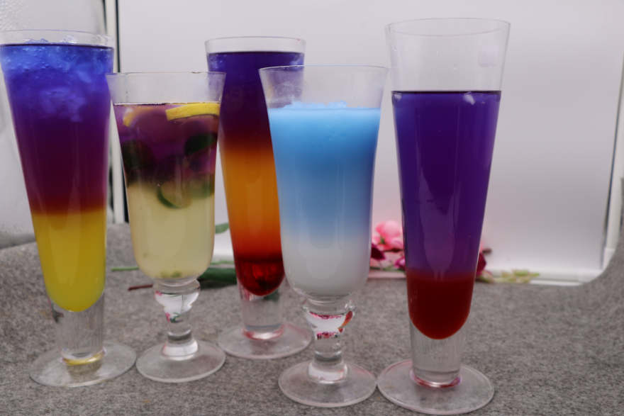 兰州泰国蝶豆花培训